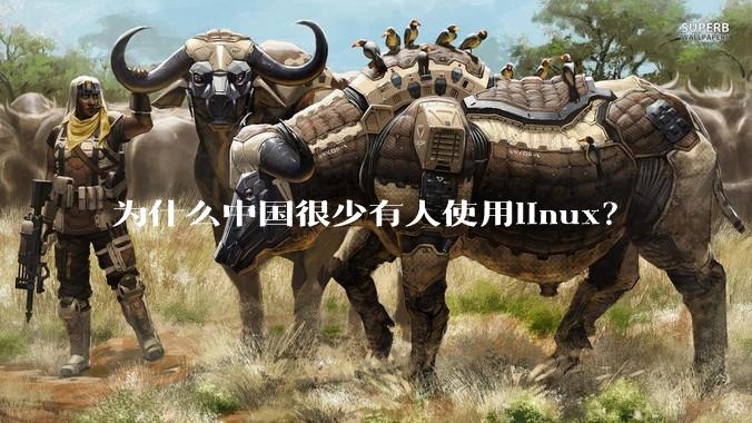 为什么中国很少有人使用linux？