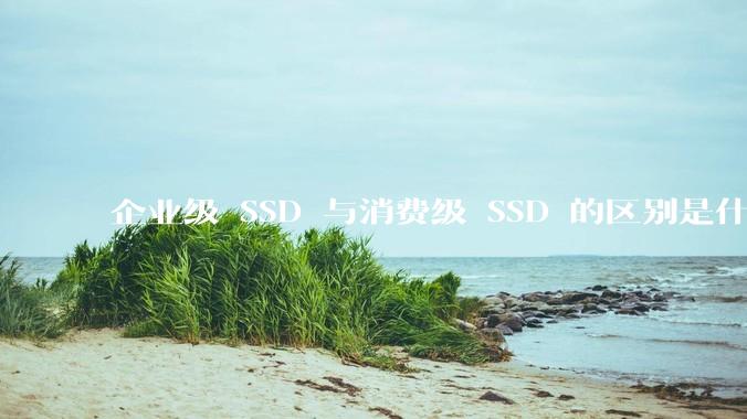 企业级 SSD 与消费级 SSD 的区别是什么？