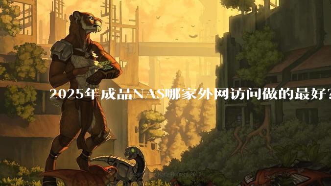 2025年成品NAS哪家外网访问做的最好？